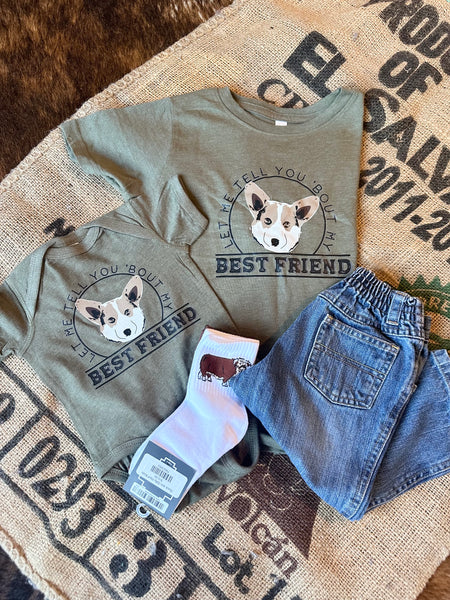 My Best Friend Corgi PO