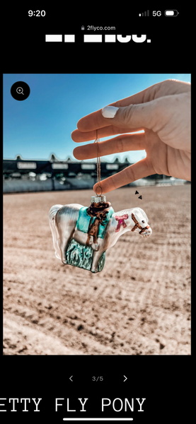 Pretty Fly Pony Ornament